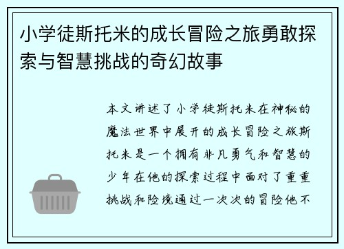 小学徒斯托米的成长冒险之旅勇敢探索与智慧挑战的奇幻故事