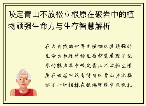 咬定青山不放松立根原在破岩中的植物顽强生命力与生存智慧解析